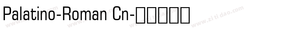 Palatino-Roman Cn字体转换
